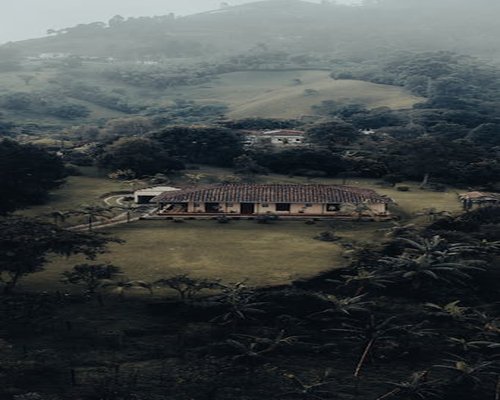 Aerial view of a serene coffee landscape in Salento, Quindío, Colombia